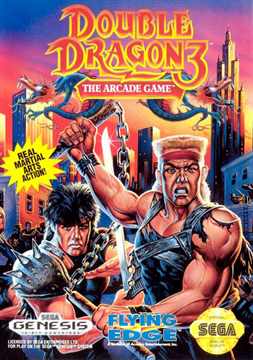 Double Dragon 3 - The Arcade Game 